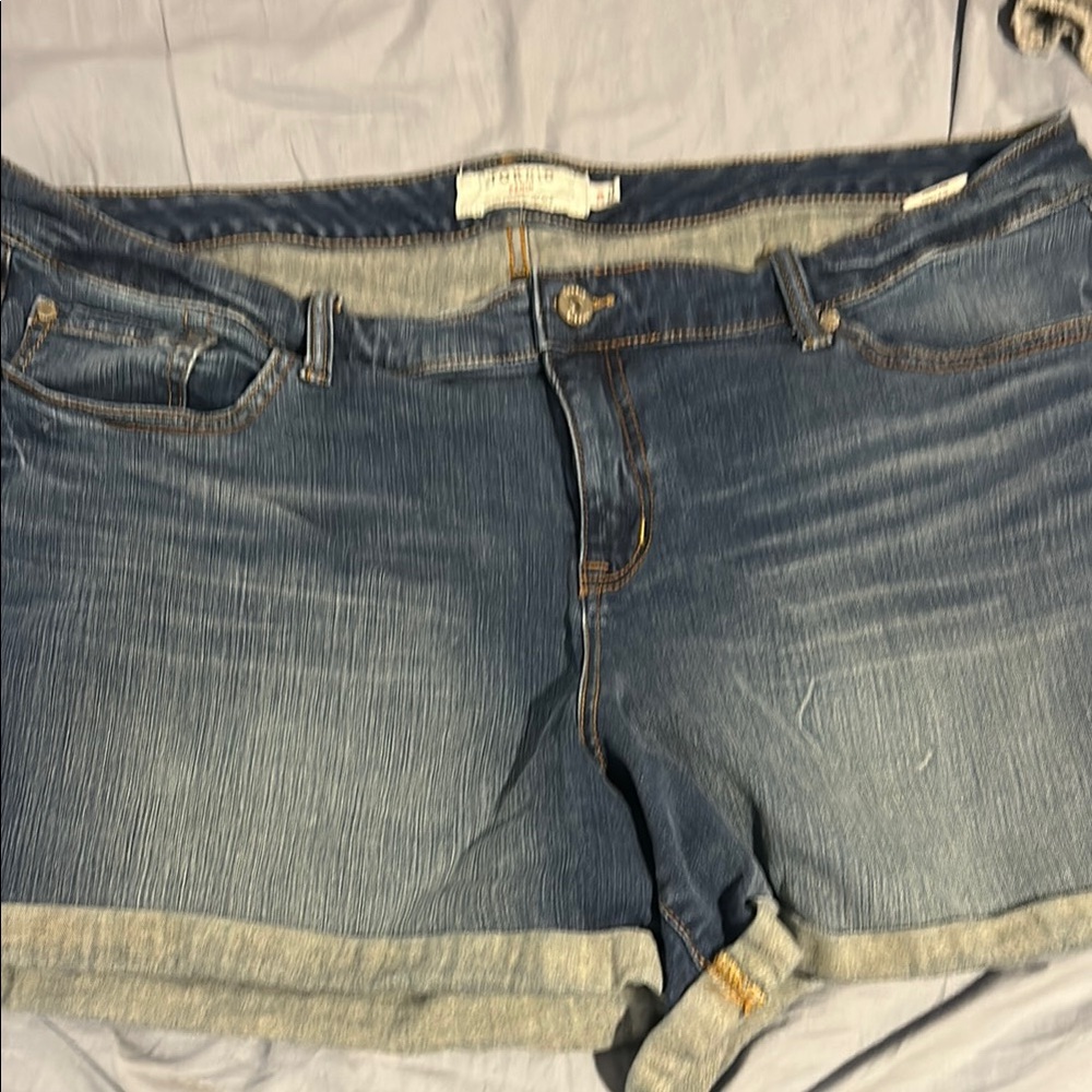 Torrid Blue Classic Denim Jeans